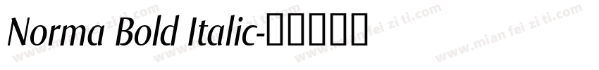 Norma Bold Italic字体转换